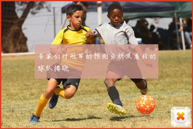 专家们对冠军的预测分析及看好的球队揭晓