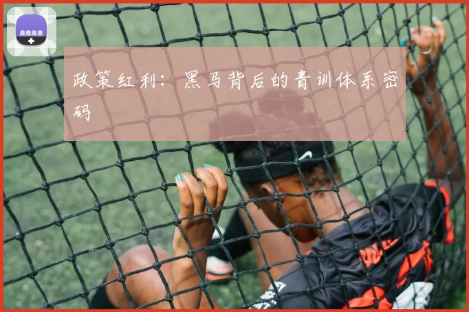 政策红利：黑马背后的青训体系密码