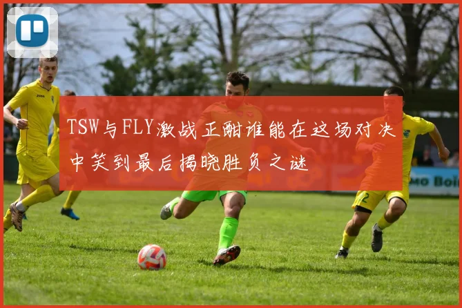 TSW与FLY激战正酣谁能在这场对决中笑到最后揭晓胜负之谜