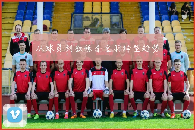 从球员到教练李金羽转型趋势