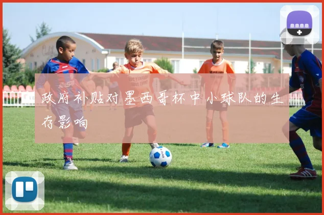 政府补贴对墨西哥杯中小球队的生存影响