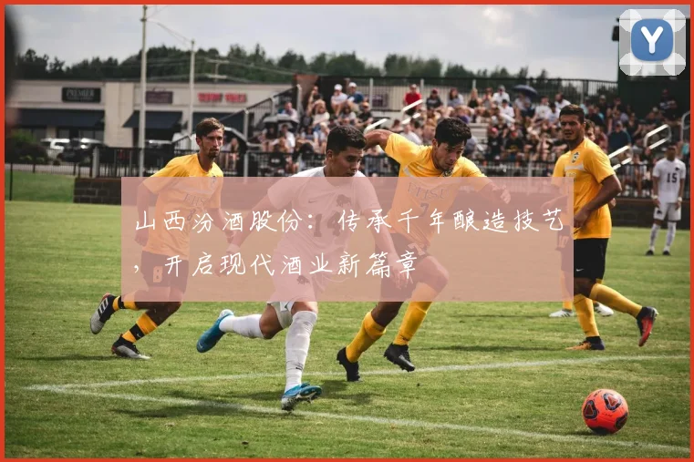 山西汾酒股份：传承千年酿造技艺，开启现代酒业新篇章