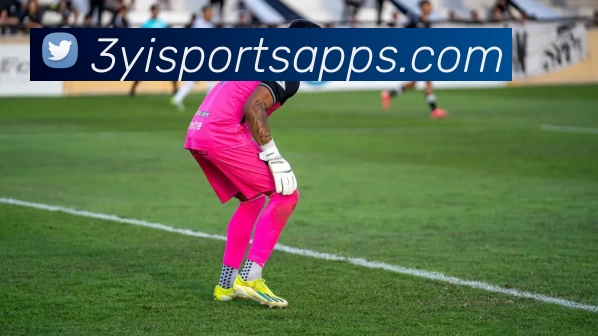 三亿官网APP 体育赛事宣传图